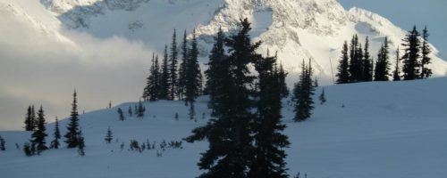 The Complete List of Winter Activities for Families in Whistler