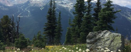 The 3 Best Family Friendly Hikes in Whistler