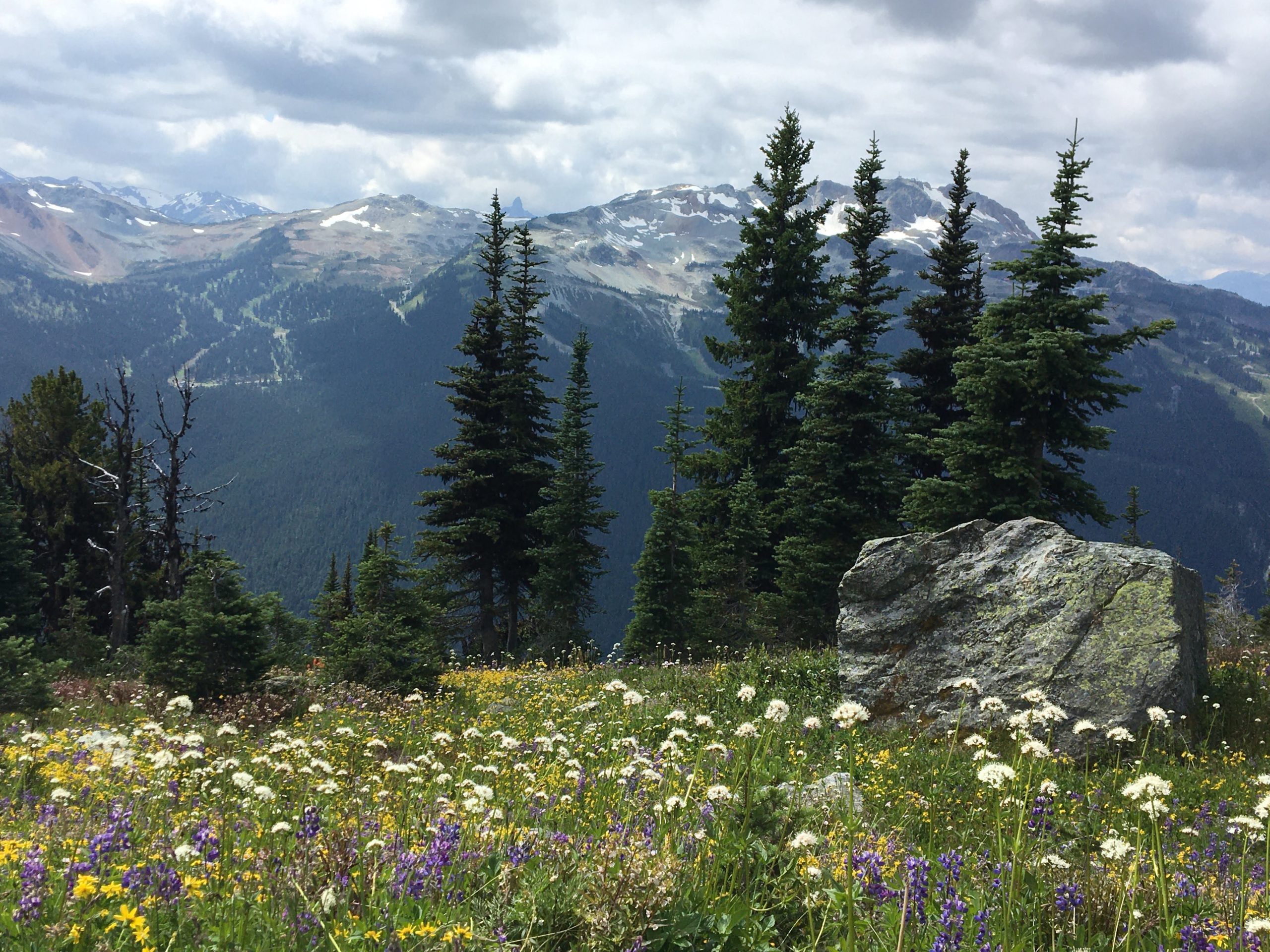 The 3 Best Family Friendly Hikes in Whistler