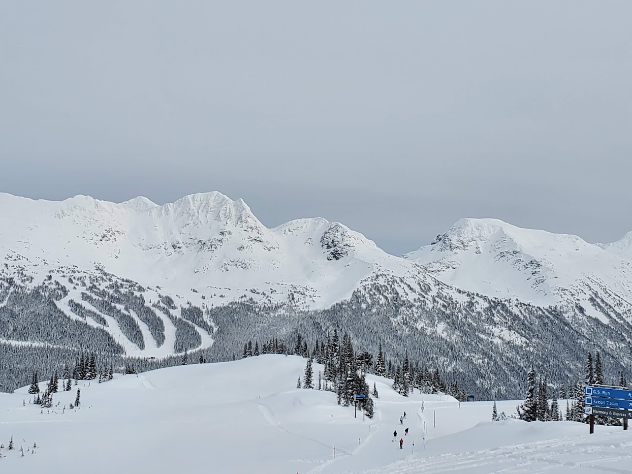 Whistler’s Easiest Black Runs